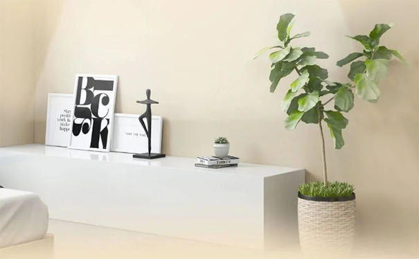 墻面臟污、發(fā)霉、不整潔怎么辦？