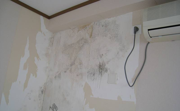 家里墻壁發(fā)霉發(fā)黑怎么辦?【解決辦法】