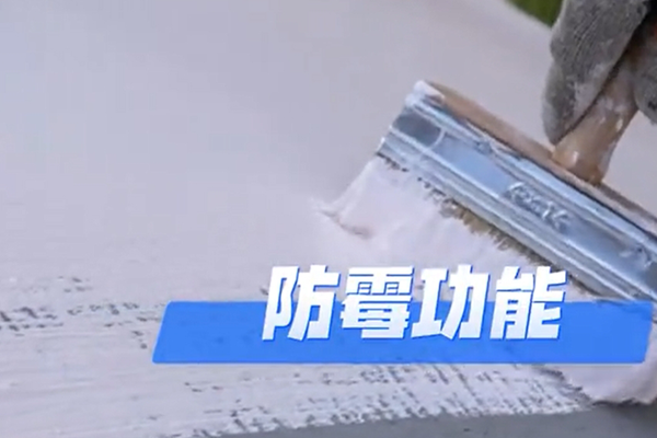 無(wú)機(jī)防霉涂料是什么意思?